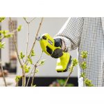 ry18sca-0-app-2.jpg